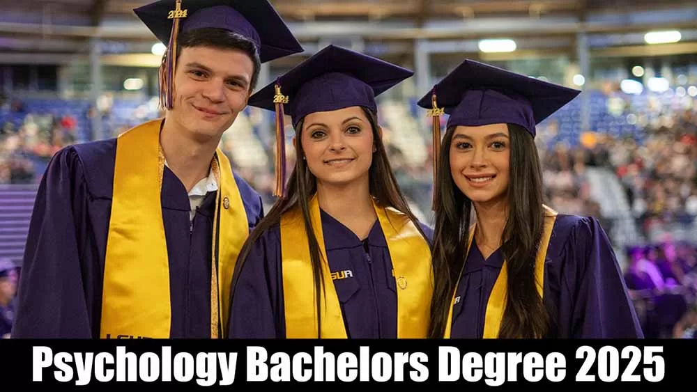 Online Psychology Bachelors Degree